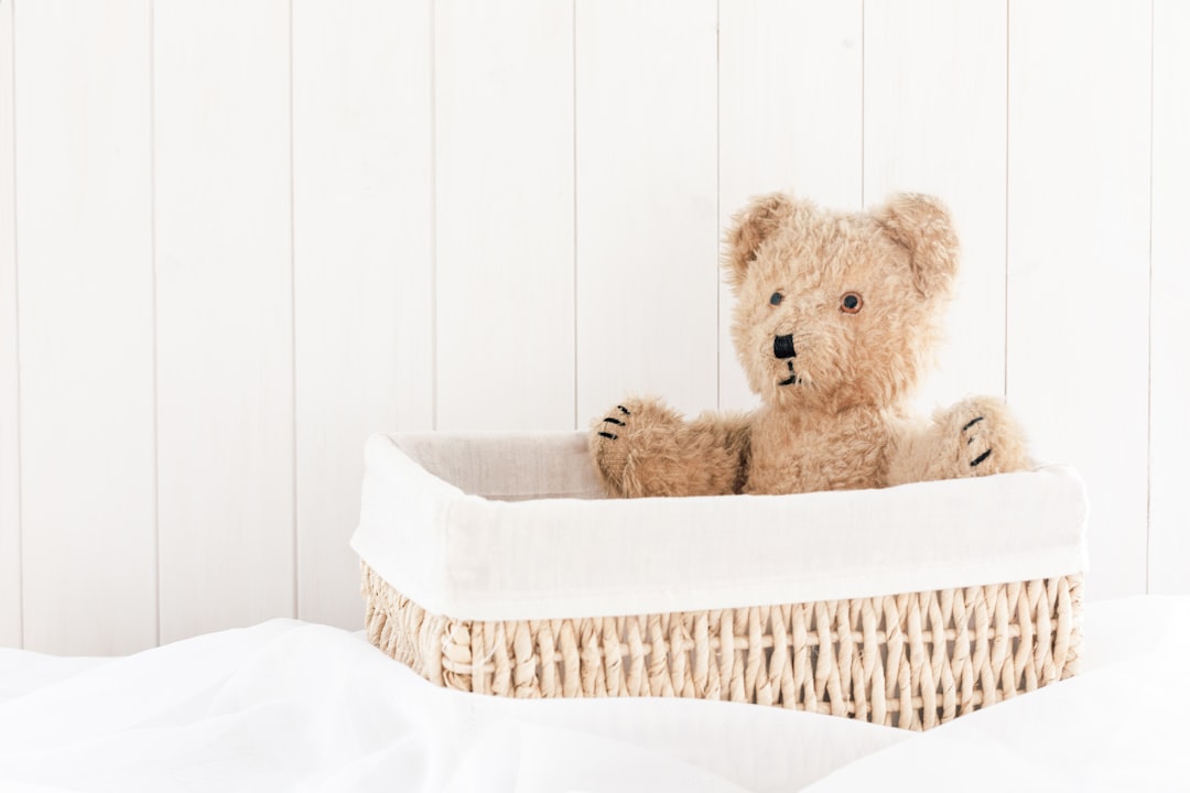Basket Full of Cuddles: Your Guide to Teddy Bear Hampers