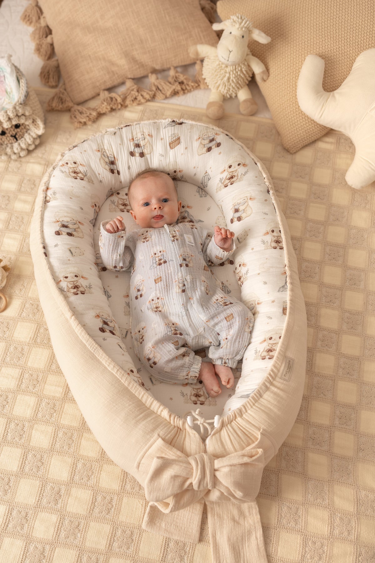 Baby Nests